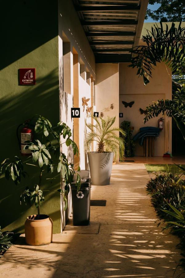 Hostik Hostal Mérida Exterior foto